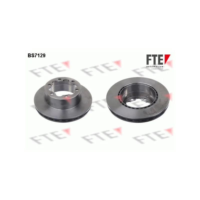 Jeu de 2 disques de frein arrière FTE BS7129