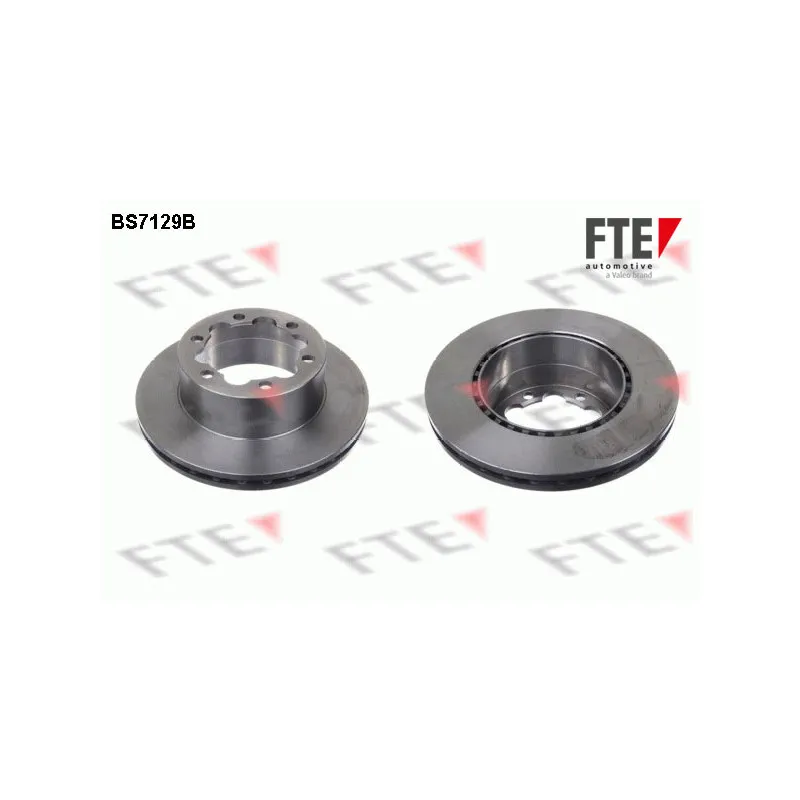 Jeu de 2 disques de frein arrière FTE BS7129B