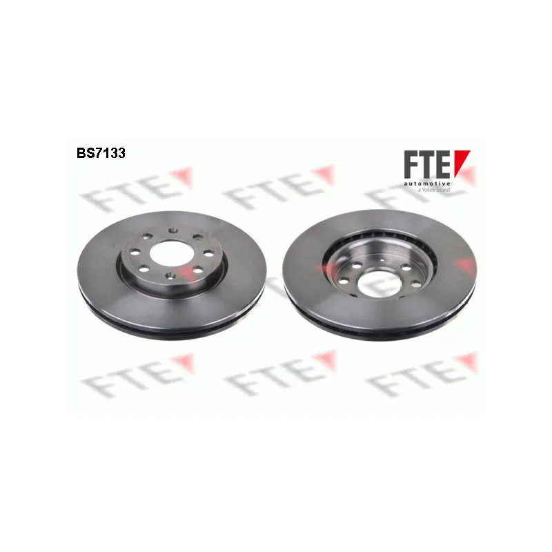Jeu de 2 disques de frein avant FTE BS7133