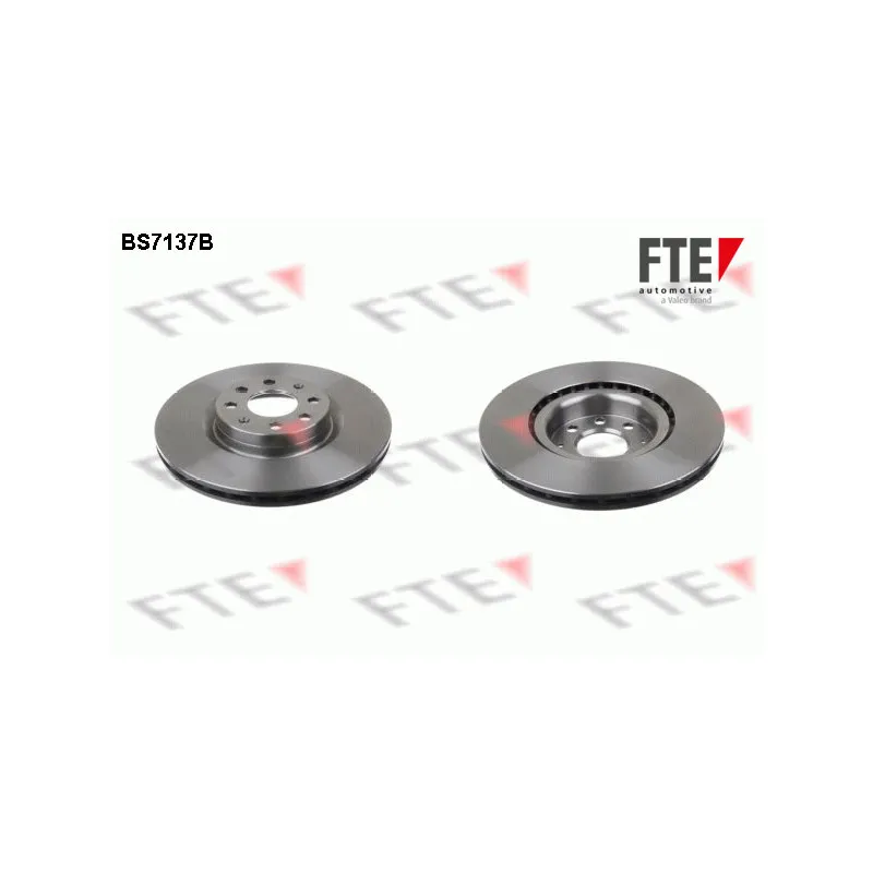 Jeu de 2 disques de frein avant FTE BS7137B