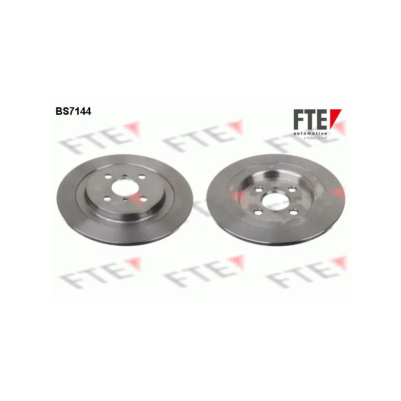 Jeu de 2 disques de frein arrière FTE BS7144