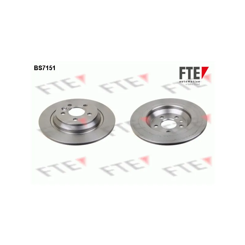 Jeu de 2 disques de frein arrière FTE BS7151