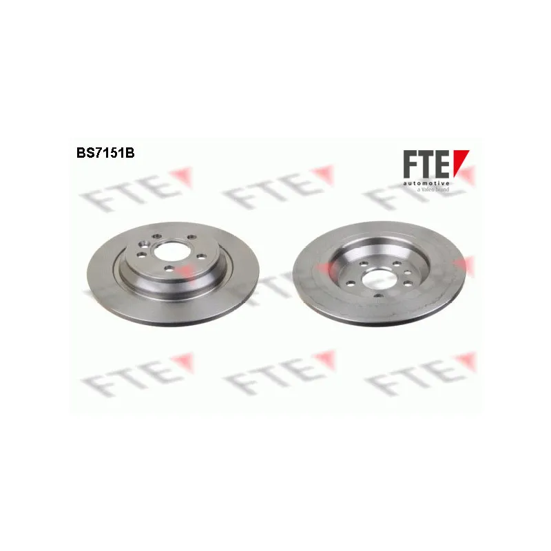 Jeu de 2 disques de frein arrière FTE BS7151B