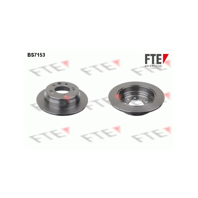 Jeu de 2 disques de frein arrière FTE BS7153