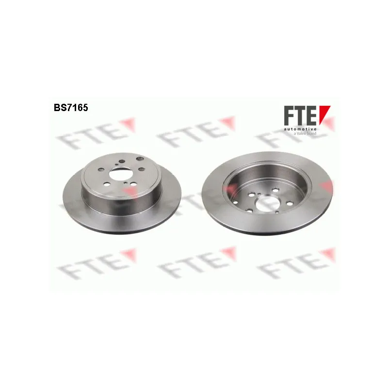 Jeu de 2 disques de frein arrière FTE BS7165