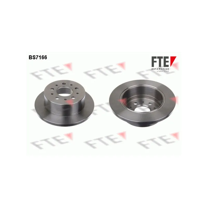 Jeu de 2 disques de frein arrière FTE BS7166