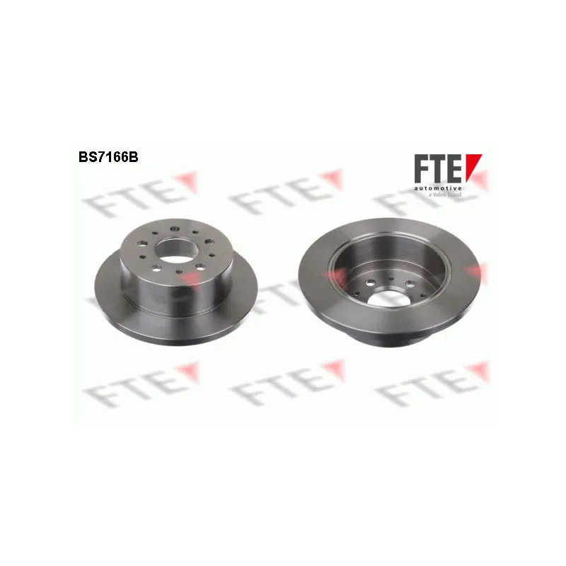Jeu de 2 disques de frein arrière FTE BS7166B