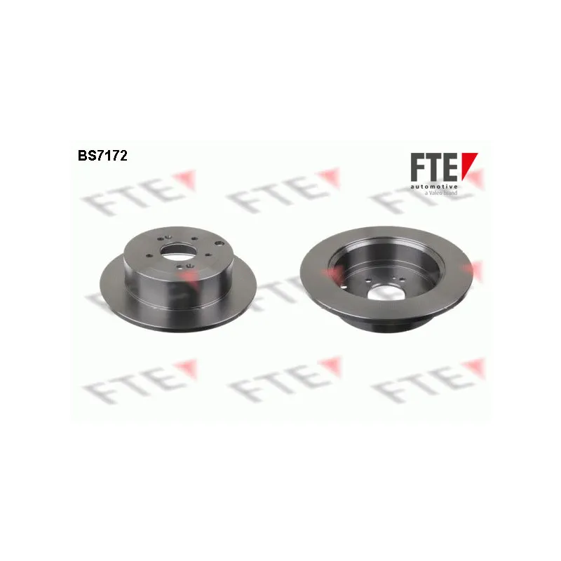 Jeu de 2 disques de frein arrière FTE BS7172