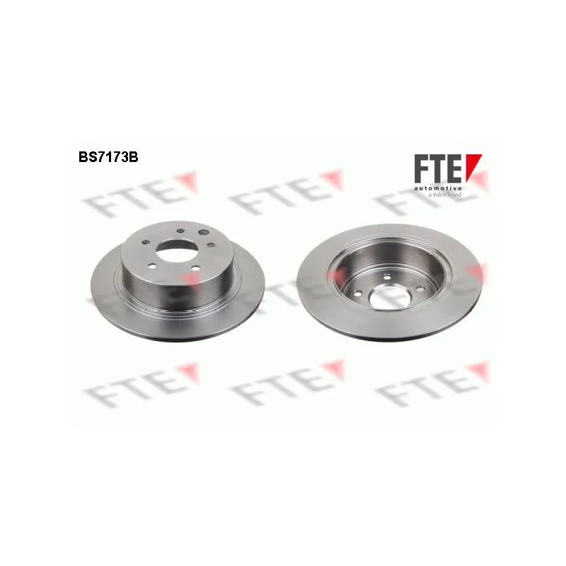 Jeu de 2 disques de frein arrière FTE BS7173B
