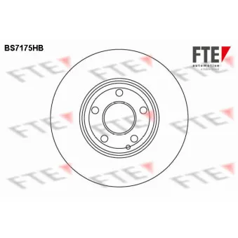 Jeu de 2 disques de frein avant FTE BS7175HB