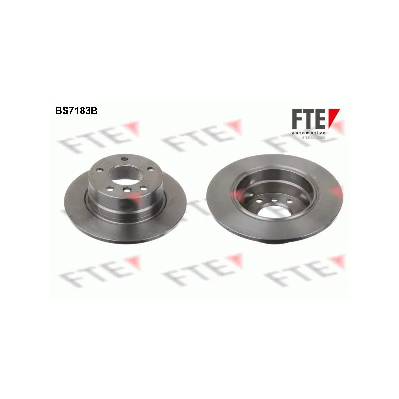 Jeu de 2 disques de frein arrière FTE BS7183B