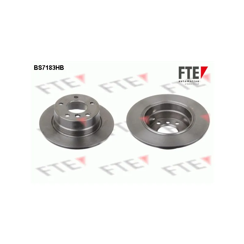 Jeu de 2 disques de frein arrière FTE BS7183HB