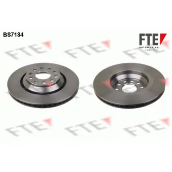 Jeu de 2 disques de frein arrière FTE BS7184