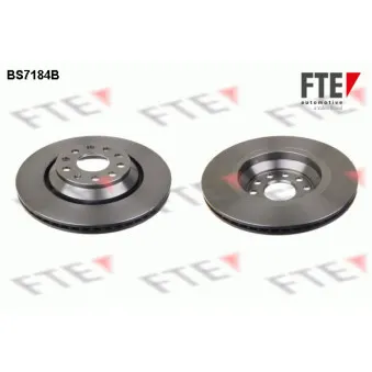 Jeu de 2 disques de frein arrière FTE BS7184B