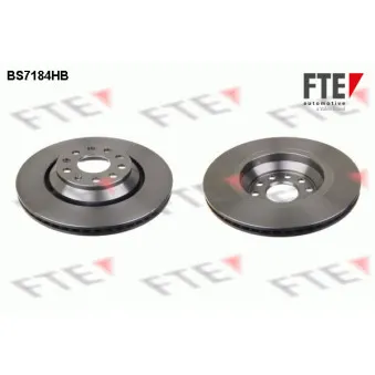 Jeu de 2 disques de frein arrière FTE BS7184HB