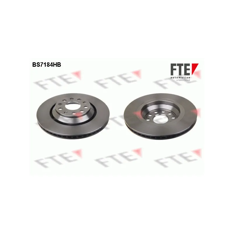 Jeu de 2 disques de frein arrière FTE BS7184HB