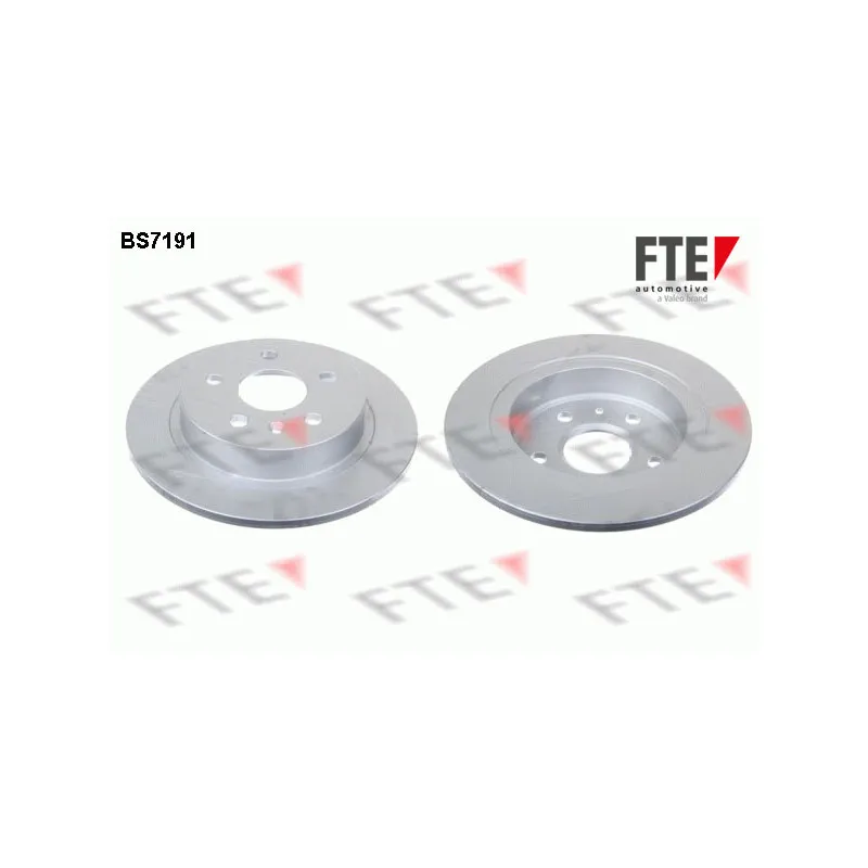 Jeu de 2 disques de frein arrière FTE BS7191