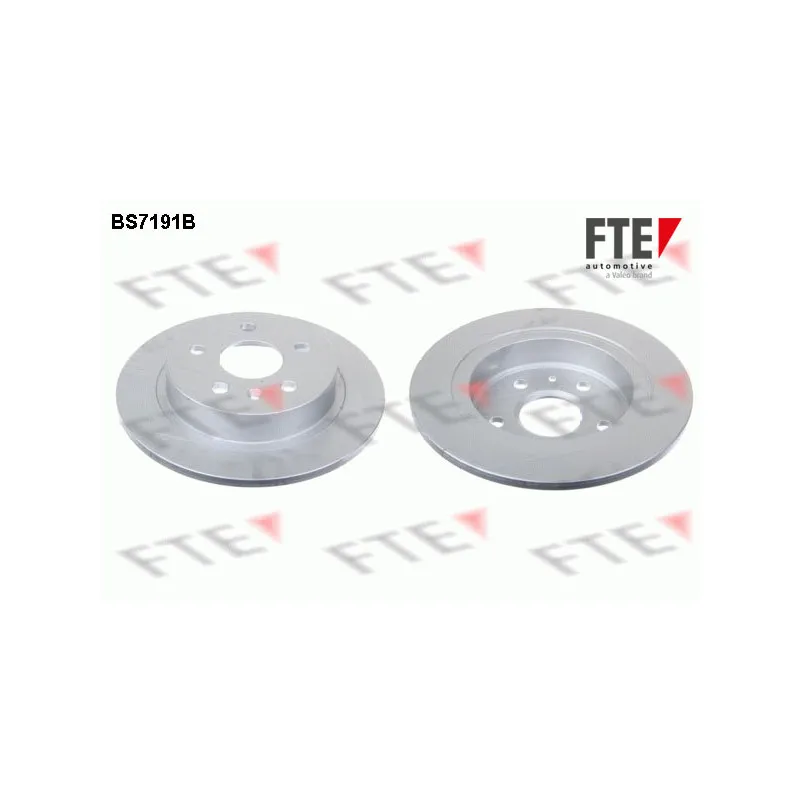 Jeu de 2 disques de frein arrière FTE BS7191B