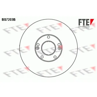 Jeu de 2 disques de frein avant FTE BS7203B