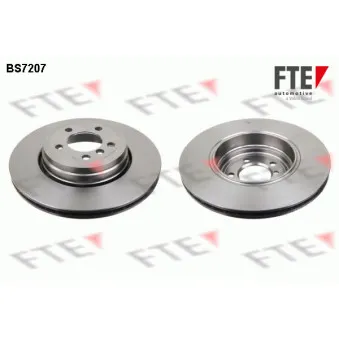 Jeu de 2 disques de frein arrière FTE BS7207