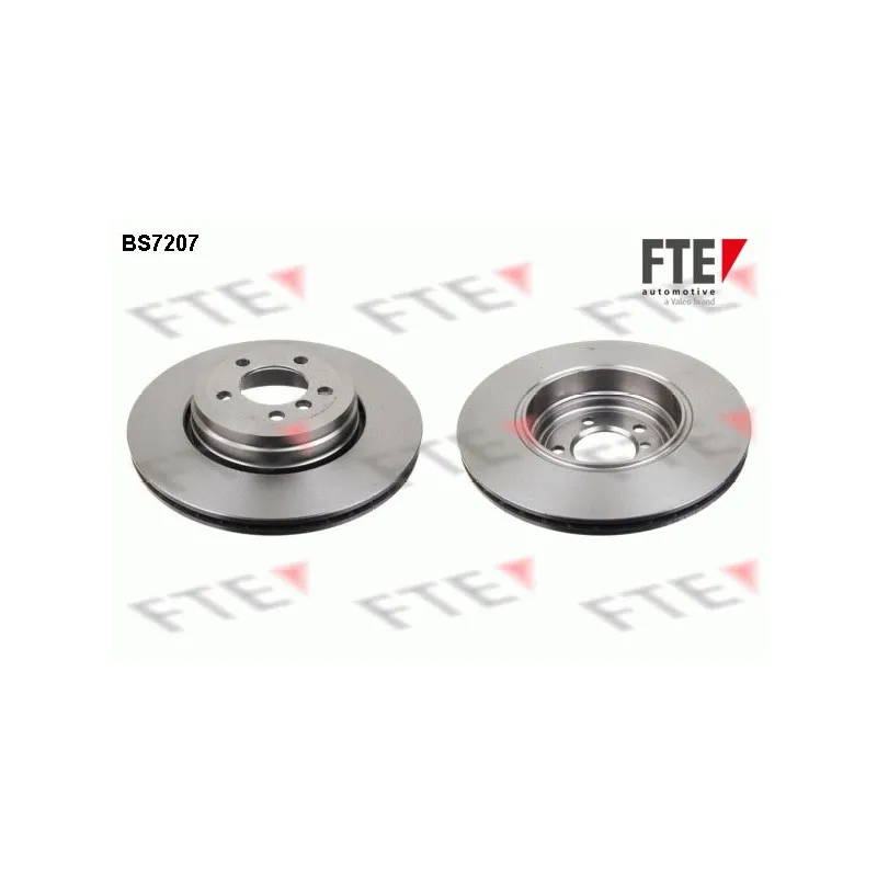 Jeu de 2 disques de frein arrière FTE BS7207