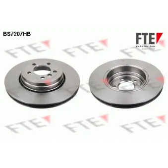 Jeu de 2 disques de frein arrière FTE BS7207HB