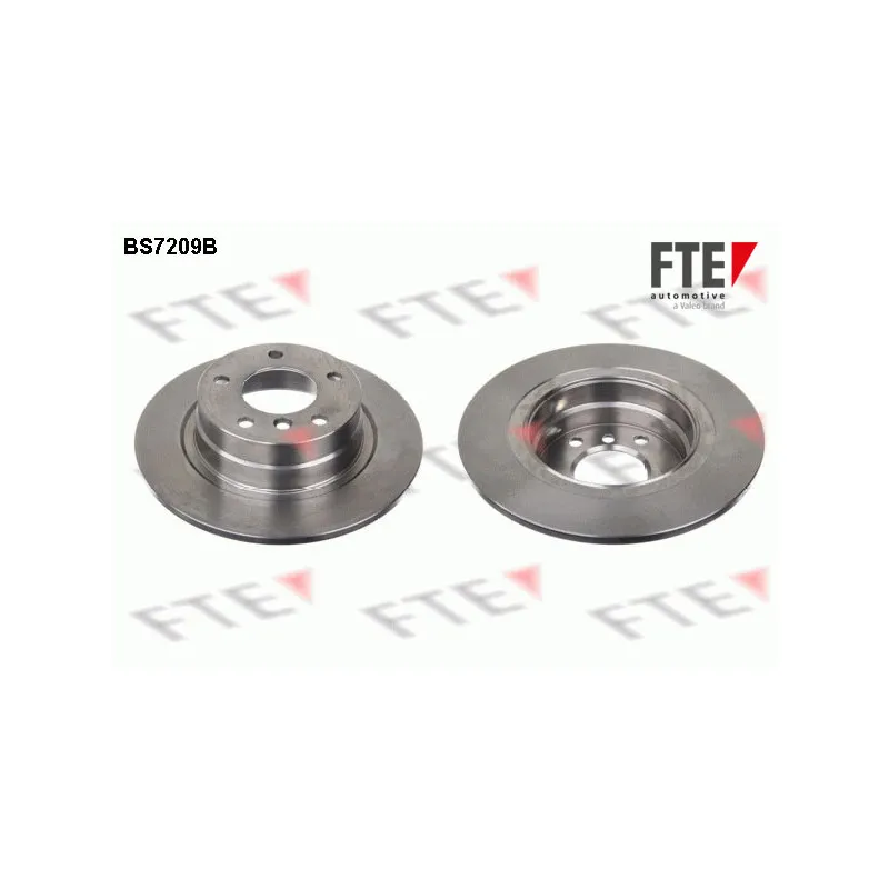 Jeu de 2 disques de frein arrière FTE BS7209B