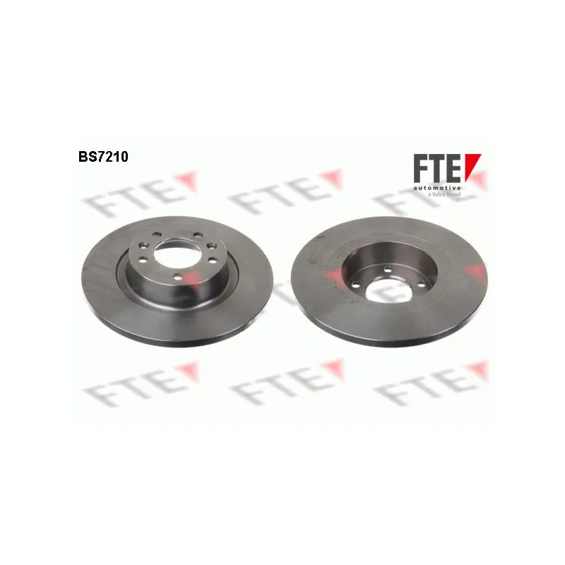 Jeu de 2 disques de frein arrière FTE BS7210
