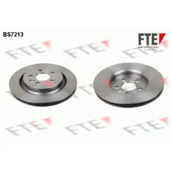 Jeu de 2 disques de frein arrière FTE BS7213