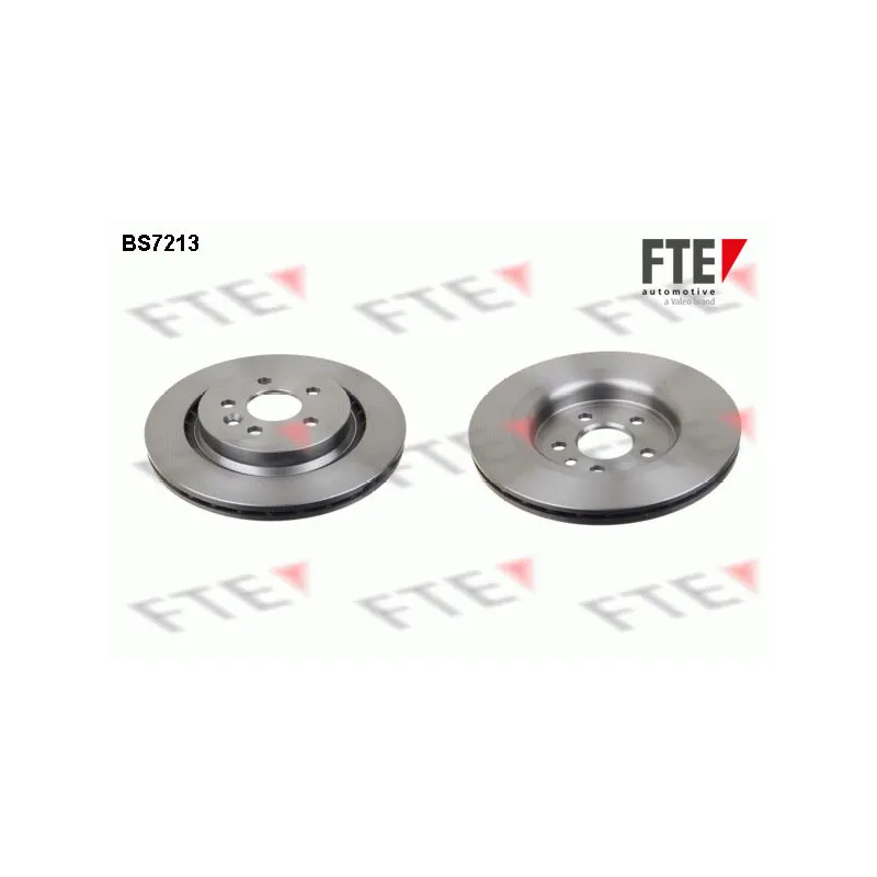 Jeu de 2 disques de frein arrière FTE BS7213