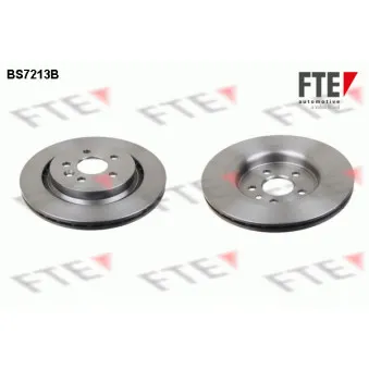Jeu de 2 disques de frein arrière FTE BS7213B
