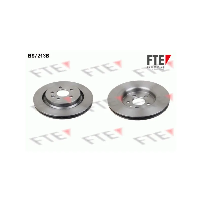 Jeu de 2 disques de frein arrière FTE BS7213B