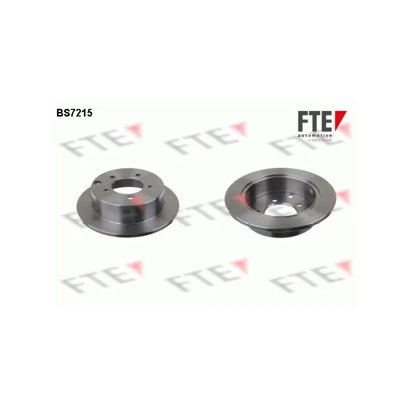 Jeu de 2 disques de frein arrière FTE BS7215