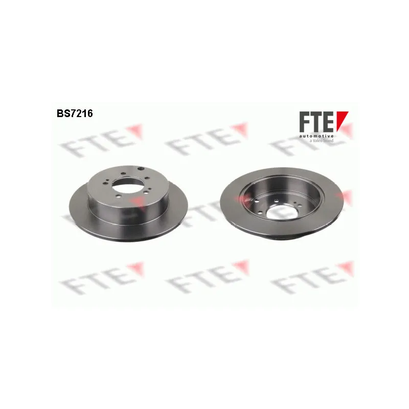Jeu de 2 disques de frein arrière FTE BS7216
