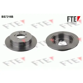 Jeu de 2 disques de frein arrière FTE BS7216B
