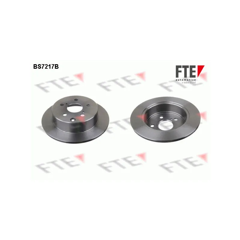 Jeu de 2 disques de frein arrière FTE BS7217B