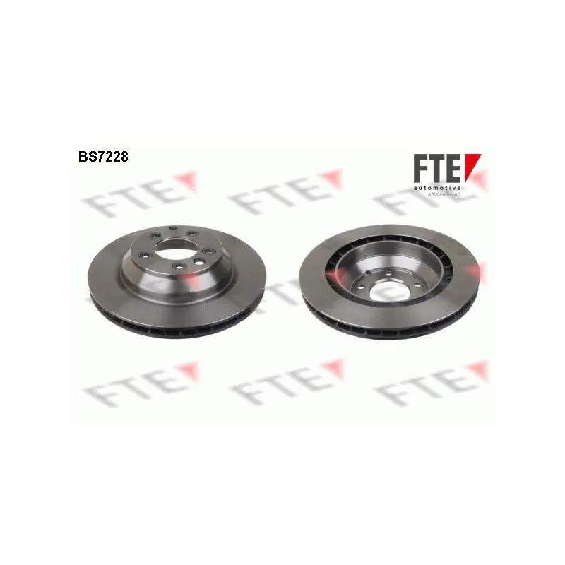Jeu de 2 disques de frein arrière FTE BS7228