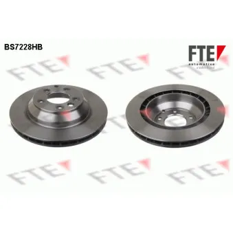 Jeu de 2 disques de frein arrière FTE BS7228HB