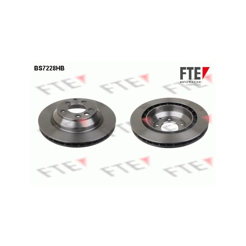 Jeu de 2 disques de frein arrière FTE BS7228HB