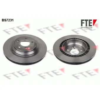 Jeu de 2 disques de frein arrière FTE BS7231