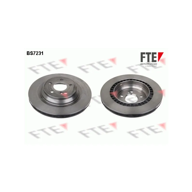 Jeu de 2 disques de frein arrière FTE BS7231