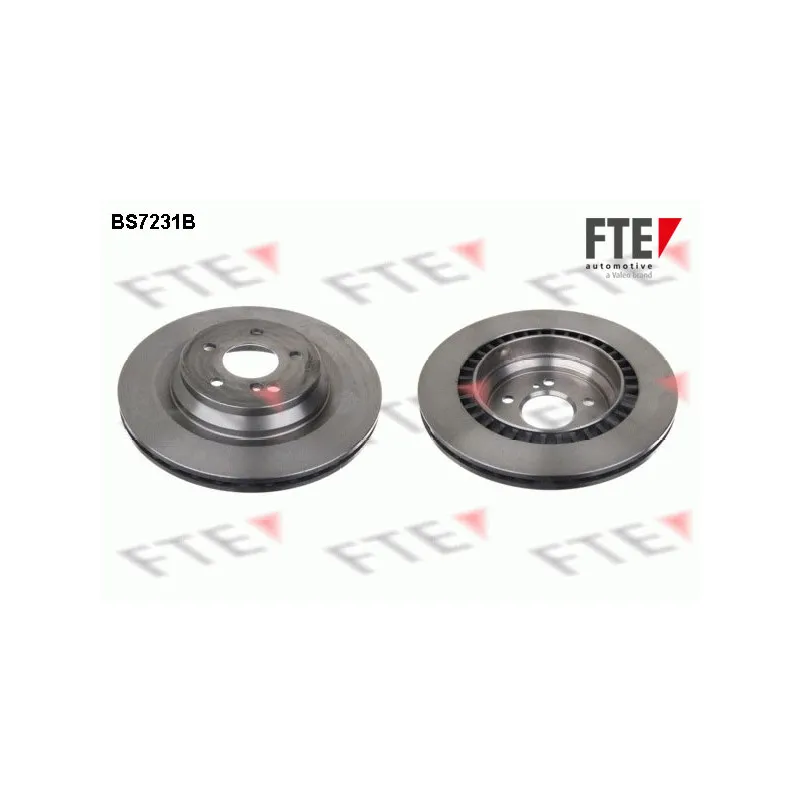 Jeu de 2 disques de frein arrière FTE BS7231B