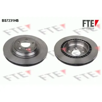 Jeu de 2 disques de frein arrière FTE BS7231HB