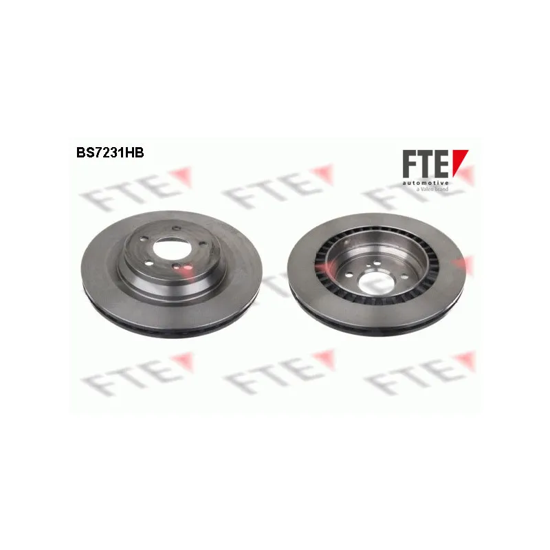 Jeu de 2 disques de frein arrière FTE BS7231HB