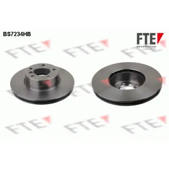 Jeu de 2 disques de frein avant FTE BS7234HB