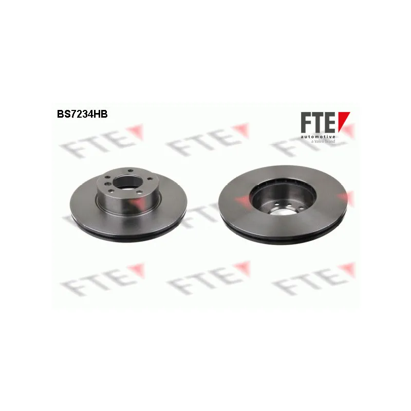 Jeu de 2 disques de frein avant FTE BS7234HB
