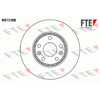 Jeu de 2 disques de frein avant FTE BS7238B