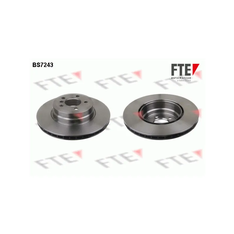 Jeu de 2 disques de frein arrière FTE BS7243