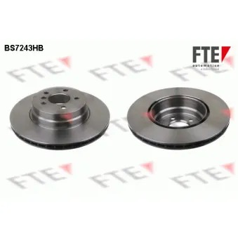 Jeu de 2 disques de frein arrière FTE BS7243HB