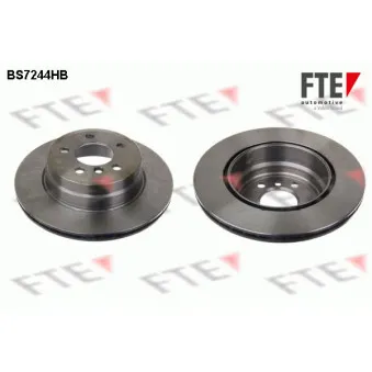 Jeu de 2 disques de frein arrière FTE BS7244HB